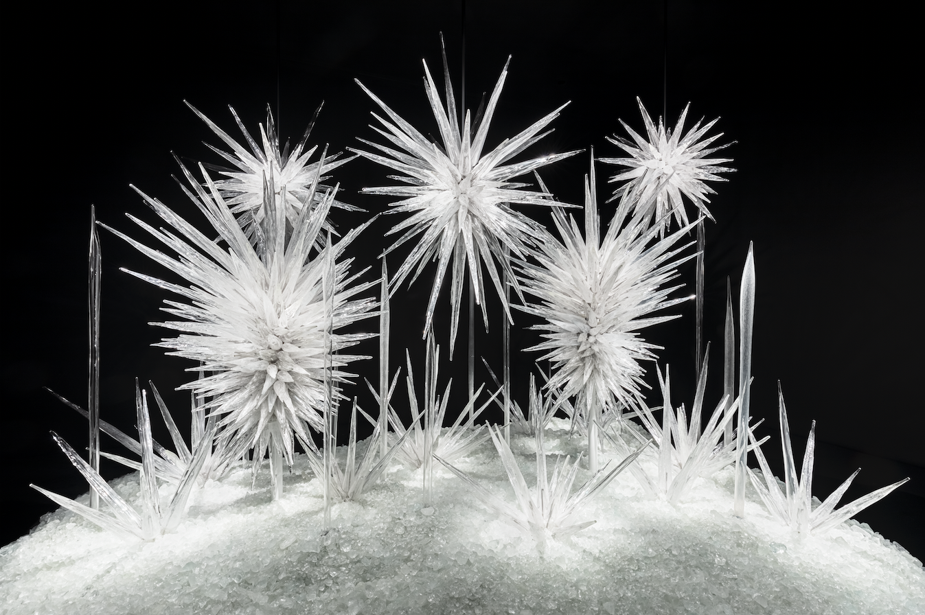 Winter Brilliance